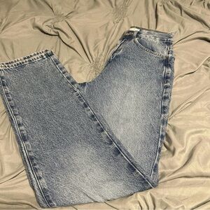 Pacsun Classic Blue Denim High Rise Dad Jeans
